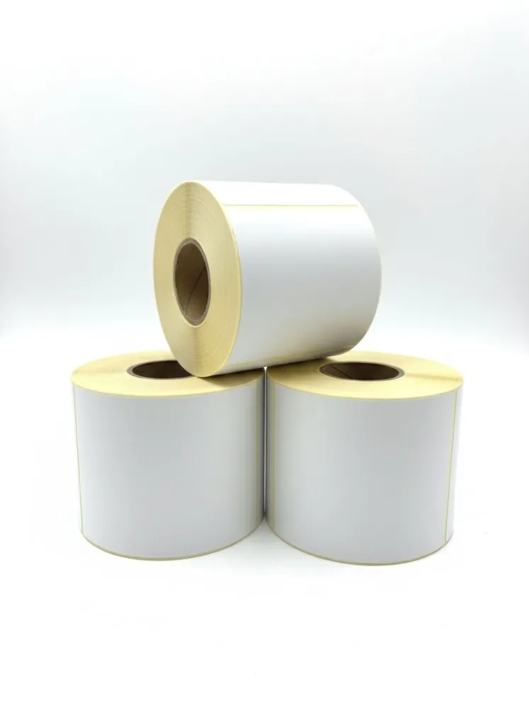 WhatsApp Image 2026-02-24 at 12.59.41 PM.webp