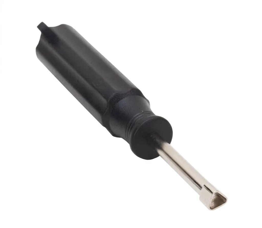 WhatsApp Image 2026-03-16 at 11.17.30 AM (1).webp